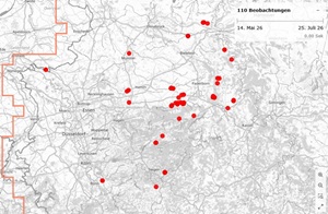 Wachtelkönig-Karte
