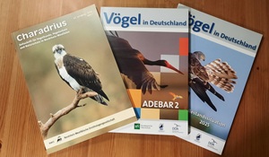 Charadrius + V&ouml;gel in Deutschland